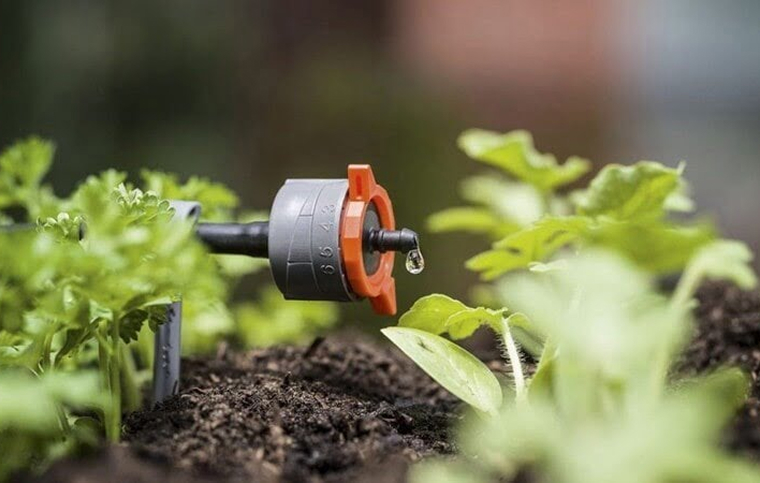 image - 2025-11-14T112128.396