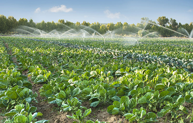 image - 2025-11-14T112148.623