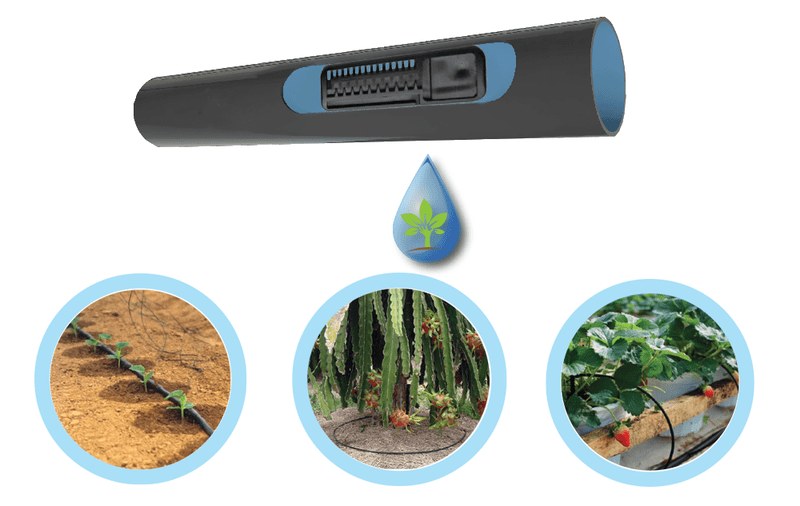 ong-tuoi-nho-giot (1)