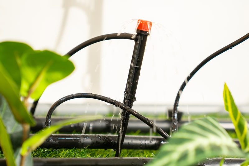 ong-tuoi-nho-giot (3)